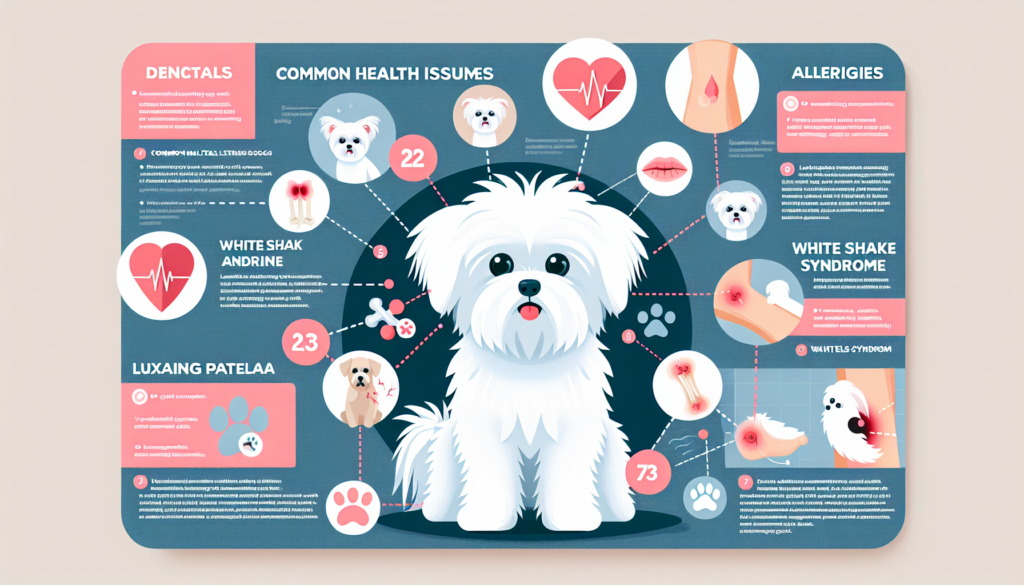 Understanding the Common Health Issues in Maltese Dogs